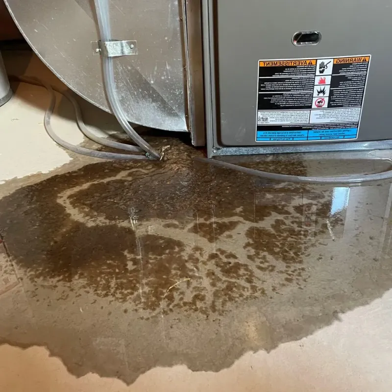 Pipe Burst and Leak Restoration in Winnebago County, IA