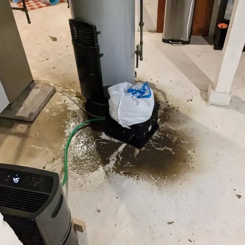 Sewage Backup Cleanup Service in Winnebago County, IA
